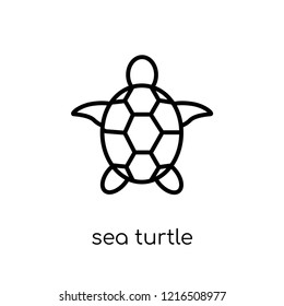 sea turtle icon. Trendy modern flat linear vector sea turtle icon on white background from thin line Summer collection, outline vector illustration