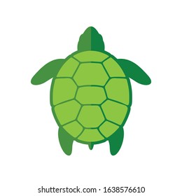 Sea turtle icon. Vector illustration isolated o white background