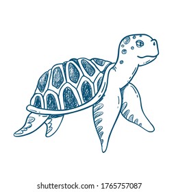 Sea Turtle illstration, hand drawn isolated vector sketch