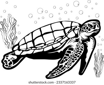 sea turtle illustration swimming under the sea