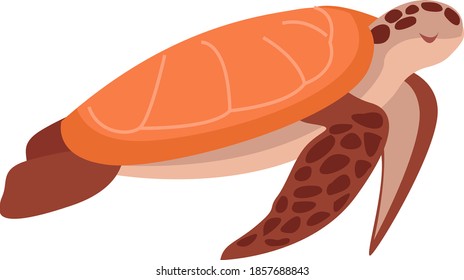 Sea turtle, illustration, vector on white background