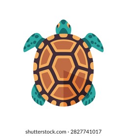 Sea turtle illustration viewed from top on white background.