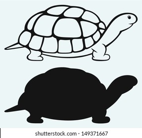 Sea turtle isolated on blue background