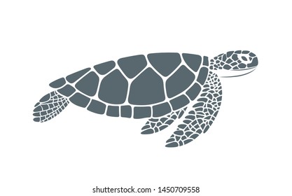 Sea turtle. Isolated turtle on white background. Reptile

