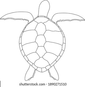 68 Agile turtle Images, Stock Photos & Vectors | Shutterstock