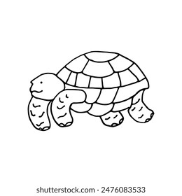 Sea turtle. Large sea animal. Doodle. Vector illustration. Hand drawn. Outline.