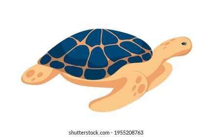 A sea turtle with a large colored shell swims underwater. A graphic element of summer or marine design. Vector illustration in cartoon style. Isolated object on a white background.