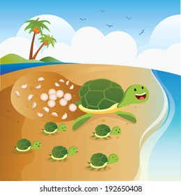 Sea Turtle Lay Eggs. Green Sea Turtle Hatching Eggs With Baby Turtles.