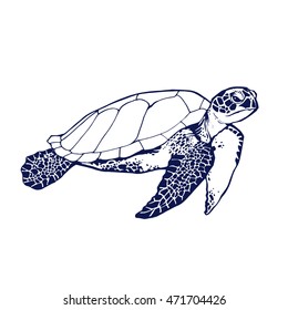 Sea Turtle Line Art Coloring Book Illustration