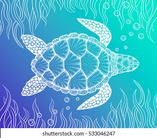 Sea turtle in line art style. Hand drawn vector illustration. Top view. Design for coloring book. Set of ocean elements