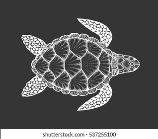 Sea turtle in line art style. Hand drawn vector illustration. Top view. Design for coloring book