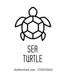 Sea turtle line icon. Vector illustration