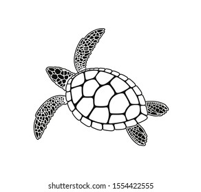 Sea turtle logo. Isolated turtle on white background. Reptile