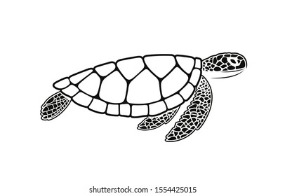 Sea turtle logo. Isolated turtle on white background. Reptile