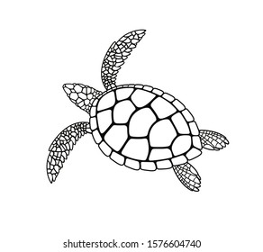 Sea turtle logo. Isolated turtle on white background. Reptile