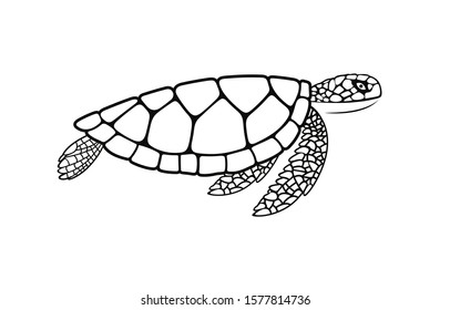 Sea Turtle Logo Isolated Turtle On Stock Vector (Royalty Free ...