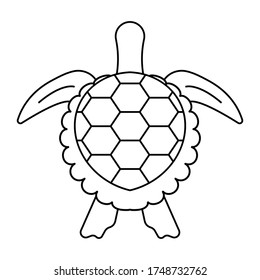 sea turtle or marine turtle top view line art icons for apps and websites