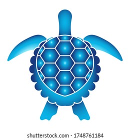 sea turtle or marine turtle top view flat colour icons for apps and websites