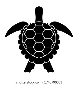 sea turtle or marine turtle top view flat icon for apps and websites