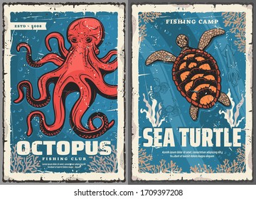 Sea turtle, octopus, crab and squid retro posters of fisherman club and fishing sport vector design. Seafood animals, crustacean and mollusk in blue water with ocean corals and seaweed