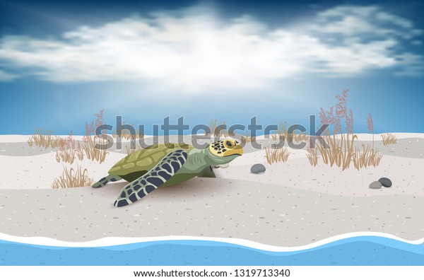 Sea Turtle On Beach Stock Vector (Royalty Free) 1319713340 | Shutterstock