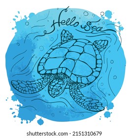 Sea turtle on blue watercolor background. Lettering Hello summer. Vector illustration. Perfect for invitation, greeting card, postcard, fashion print, banner, poster for textile, fashion design.