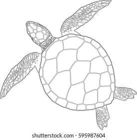 Vector Illustration Sea Turtle On White Stock Vector (royalty Free 