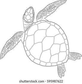 Vector Illustration Sea Turtle On White Stock Vector (Royalty Free ...