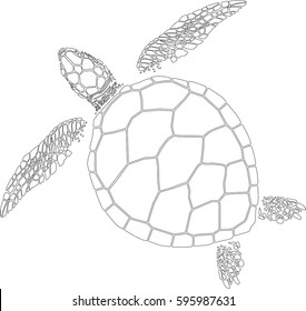 Turtle Stock Vector (Royalty Free) 613400465