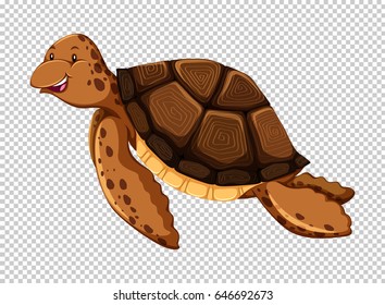 Sea turtle on transparent background illustration