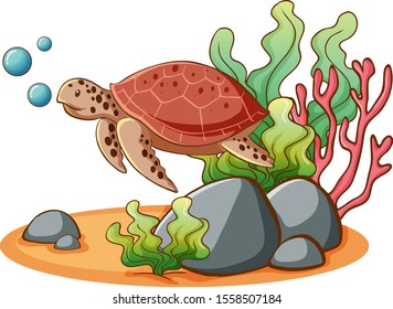 Sea turtle on white background illustration