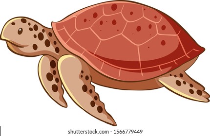 Sea turtle on white background illustration