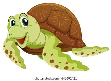 Sea turtle on white background illustration