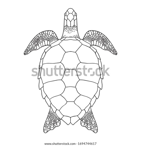 sea turtle outline black white vector stock vector royalty free 1694744617 https www shutterstock com image vector sea turtle outline black white vector 1694744617