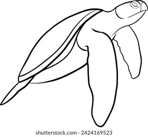 Sea turtle outline illustration isolated on transparent background