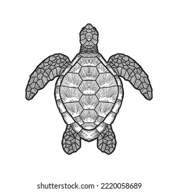 sea turtle outline isolated on white background, vector illustration hand drawing