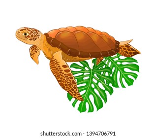 sea turtle with palm leaves