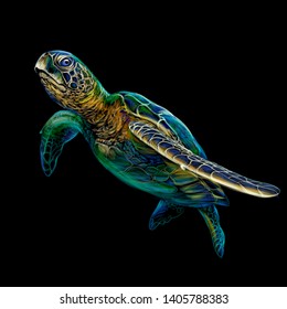 Sea turtle. Realistic, artistic, colored drawing of a sea turtle on a black background.