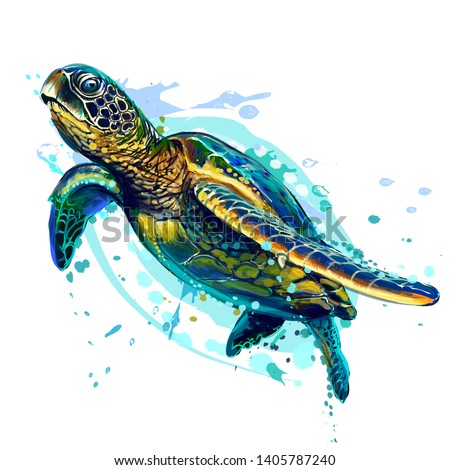 
Sea turtle. Realistic, artistic, colored drawing of a sea turtle on a white background in a watercolor style.