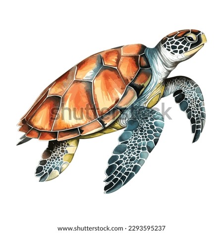 Sea turtle. Realistic, artistic, colored drawing of a sea turtle on a white background in a watercolor style. Sea Turtle Turquoise Oceanlife Vector Art