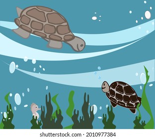 sea turtle and seahorse background sea and algae green vector illustration sea life