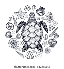 Sea turtle and shells in line art style. Hand drawn vector illustration. Top view. Design for coloring book. Set of ocean elements