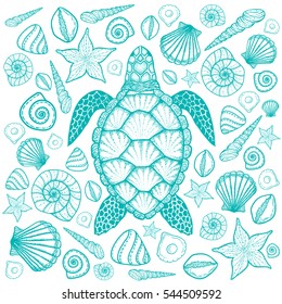 Sea turtle and shells in line art style. Hand drawn vector illustration. Top view. Design for coloring book. Set of ocean elements