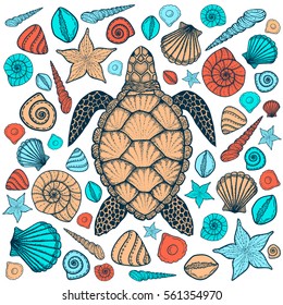 Sea turtle and shells in line art style. Hand drawn vector illustration. Top view. Design for coloring book. Set of ocean elements