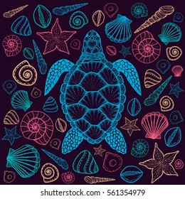 Sea turtle and shells in line art style. Hand drawn vector illustration. Top view. Design for coloring book. Set of ocean elements