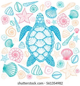 Sea turtle and shells in line art style. Hand drawn vector illustration. Top view. Design for coloring book. Set of ocean elements