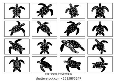 Silueta de la tortuga marina, animal en blanco y negro, silueta detallada de la tortuga marina