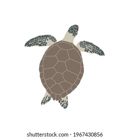 Sea turtle. Simple vector illustration.