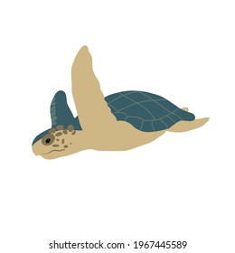 Sea turtle. Simple vector illustration.