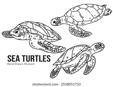 Sea turtle sketch with black ink hand drawing. Suitable for seafood ornament designs, coloring books, and animal design elements